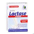 Lactase Tabl 14.000 Fcc 80st, A-Nr.: 5296258 - 03