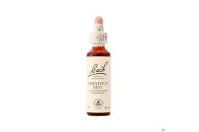 Sie sehen eine Packung 07 Chestnut Bud20 ml, Produktbild: 01 07 Chestnut Bud20 ml, A-Nr.: 4088517 - 01