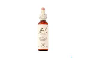 Sie sehen eine Packung 12 Gentian20 ml, Produktbild: 01 12 Gentian20 ml, A-Nr.: 4088575 - 01