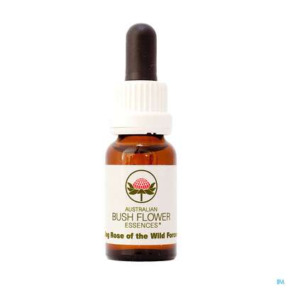 Sie sehen eine Packung Aub Dog Rose Of The Wild Forces, Produktbild: 01 Aub Dog Rose Of The Wild Forces, A-Nr.: 2626991 - 01