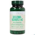 Sie sehen eine Packung Bios Gelenk-schutz Hc 100 Kapseln, Produktbild: 02 Bios Gelenk-schutz Hc 100 Kapseln, A-Nr.: 3891241 - 02