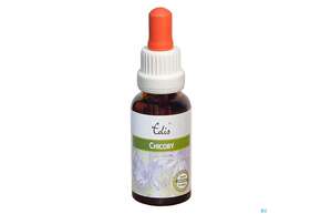 Edis Bio 08 Chicory Alkoholfrei 20ml, A-Nr.: 4107545 - 01