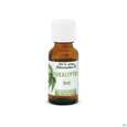 Sie sehen eine Packung Eukalyptus Oel Bio 20ml, Produktbild: 02 Eukalyptus Oel Bio 20ml, A-Nr.: 5175158 - 02