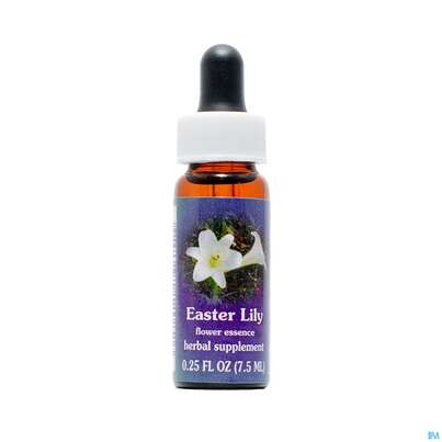 Fes Easter Lily 7,5ml, A-Nr.: 2153736 - 01