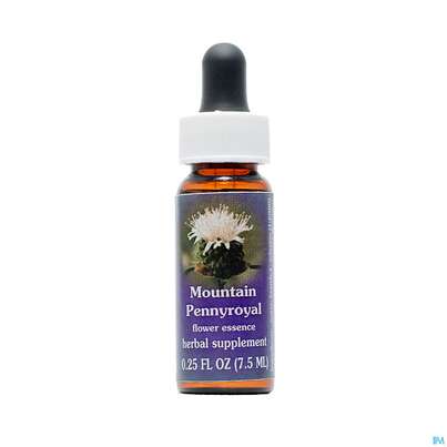 Fes Mountain Pennyroyal 7,5ml, A-Nr.: 2154345 - 01