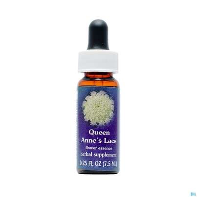 Fes Queen Anne's Lace 7,5ml, A-Nr.: 2154687 - 01