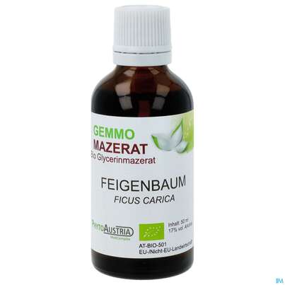 Gemmo Mazerat Bio Phytoaustria Feige Ficus Carica 50ml, A-Nr.: 4597271 - 01