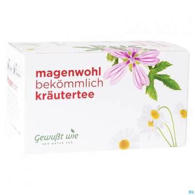 Gewusst Wie Tee/beutel Magenwohl 20st, A-Nr.: 4622767 - 01