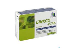 Ginkgo Kapseln 100mg +b1+c+e Avi 48st, A-Nr.: 3831256 - 01