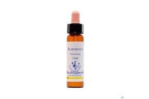 Sie sehen eine Packung Healing Herbs 01 Agrimony 10ml, Produktbild: 01 Healing Herbs 01 Agrimony 10ml, A-Nr.: 2185914 - 01