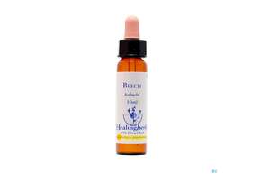 Sie sehen eine Packung Healing Herbs 03 Beech 10ml, Produktbild: 01 Healing Herbs 03 Beech 10ml, A-Nr.: 2185966 - 01
