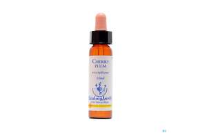 Sie sehen eine Packung Healing Herbs 06 Cherry Plum 10ml, Produktbild: 01 Healing Herbs 06 Cherry Plum 10ml, A-Nr.: 2186032 - 01