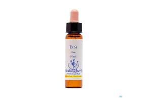 Sie sehen eine Packung Healing Herbs 11 Elm 10ml, Produktbild: 01 Healing Herbs 11 Elm 10ml, A-Nr.: 2186138 - 01