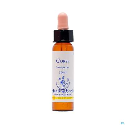 Sie sehen eine Packung Healing Herbs 13 Gorse10 ml, Produktbild: 01 Healing Herbs 13 Gorse10 ml, A-Nr.: 2186173 - 01