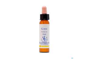 Sie sehen eine Packung Healing Herbs 13 Gorse10 ml, Produktbild: 01 Healing Herbs 13 Gorse10 ml, A-Nr.: 2186173 - 01