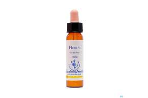 Sie sehen eine Packung Healing Herbs 15 Holly 10ml, Produktbild: 01 Healing Herbs 15 Holly 10ml, A-Nr.: 2186227 - 01
