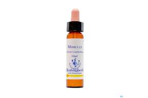Sie sehen eine Packung Healing Herbs 20 Mimulus 10ml, Produktbild: 01 Healing Herbs 20 Mimulus 10ml, A-Nr.: 2186345 - 01