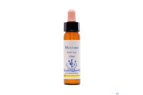 Sie sehen eine Packung Healing Herbs 21 Mustard 10ml, Produktbild: 01 Healing Herbs 21 Mustard 10ml, A-Nr.: 2186368 - 01