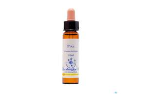 Sie sehen eine Packung Healing Herbs 24 Pine 10ml, Produktbild: 01 Healing Herbs 24 Pine 10ml, A-Nr.: 2186428 - 01