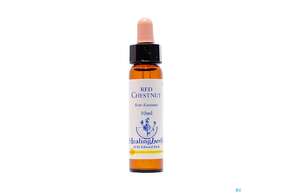 Sie sehen eine Packung Healing Herbs 25 Red Chestnut 10ml, Produktbild: 01 Healing Herbs 25 Red Chestnut 10ml, A-Nr.: 2186440 - 01