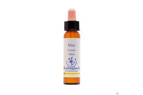 Healing Herbs 32 Vine 10ml, A-Nr.: 2186606 - 01