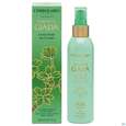 Sie sehen eine Packung L Erbolario Koerperlotion Albero Di Giada Jade 026.2 200ml, Produktbild: 02 L Erbolario Koerperlotion Albero Di Giada Jade 026.2 200ml, A-Nr.: 5167762 - 02
