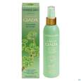 Sie sehen eine Packung L Erbolario Koerperlotion Albero Di Giada Jade 026.2 200ml, Produktbild: 03 L Erbolario Koerperlotion Albero Di Giada Jade 026.2 200ml, A-Nr.: 5167762 - 03
