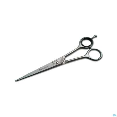 Scheren Canal Rostfrei Haarschere 17cm 1021- 1st, A-Nr.: 4881575 - 01