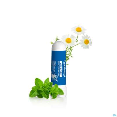 Sie sehen eine Packung Inhalatoren U.zubehoer Puressentiel Kopfschmerzen 1ml, Produktbild: 03 Inhalatoren U.zubehoer Puressentiel Kopfschmerzen 1ml, A-Nr.: 5838682 - 03