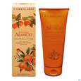 Sie sehen eine Packung L Erbolario Koerperlotion Accordo Arancio Orange 026.6 200ml, Produktbild: 01 L Erbolario Koerperlotion Accordo Arancio Orange 026.6 200ml, A-Nr.: 4295328 - 01