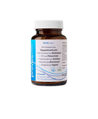 Komplex aus Pflanzenessenzen und Phytosterolen, A-Nr.: 4938803 - 01