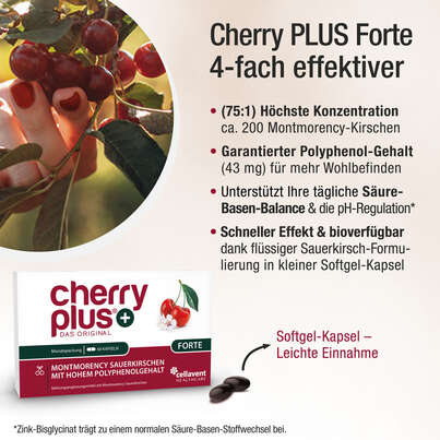 Sie sehen eine Packung Montmorency Sauerkirschsaft + Sauerkirsch-Extrakt in einer Kapsel | Cherry PLUS Forte, Produktbild: 03 Montmorency Sauerkirschsaft + Sauerkirsch-Extrakt in einer Kapsel | Cherry PLUS Forte, A-Nr.: 5940067 - 03