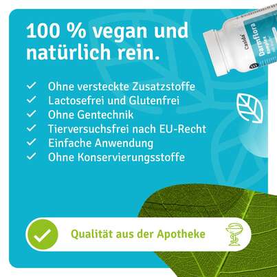 Sie sehen eine Packung Darmflora Komplex mit Inulin, Produktbild: 04 Darmflora Komplex mit Inulin, A-Nr.: 5820825 - 04