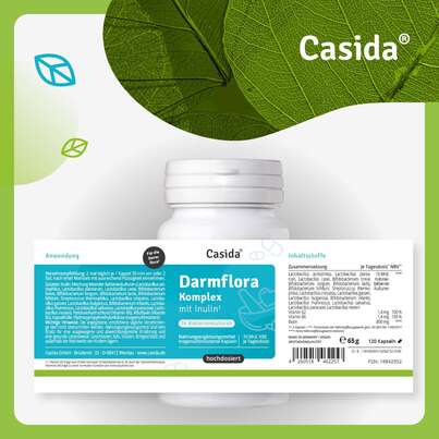 Sie sehen eine Packung Darmflora Komplex mit Inulin, Produktbild: 08 Darmflora Komplex mit Inulin, A-Nr.: 5820825 - 08