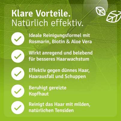 Rosmarin Shampoo mit Biotin, A-Nr.: 5829743 - 04