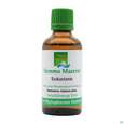 Sie sehen eine Packung Gemmo Mazerat Esskastanie Castanea Sativa Phytopharma 50ml, Produktbild: 02 Gemmo Mazerat Esskastanie Castanea Sativa Phytopharma 50ml, A-Nr.: 3107158 - 02
