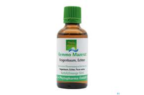 Gemmo Mazerat Feigenbaum/echt Ficus Carica Phytopharma 50ml, A-Nr.: 3107081 - 01