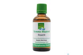 Gemmo Mazerat Grauerle Alnus Incana Phytopharma 50ml, A-Nr.: 4493092 - 01