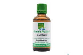 Gemmo Mazerat Olivenbaum Olea Europaea Phytopharma 50ml, A-Nr.: 3107201 - 01