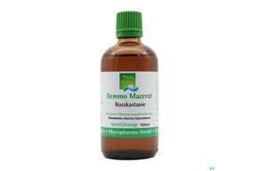 Gemmo Mazerat Rosskastanie Aesculus Hippocastanum Phytopharma 100ml, A-Nr.: 5394417 - 01