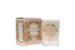 PDS DUFTKERZE ROSENGERANIE (PG: 180 G), A-Nr.: 5917683 - 01