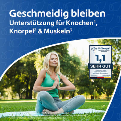 R(h)ein Nutrition Gelenkfutter Komplex Gelenkkapseln, A-Nr.: 5987169 - 02