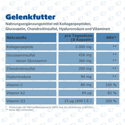 R(h)ein Nutrition Gelenkfutter Komplex Gelenkkapseln, A-Nr.: 5987169 - 08