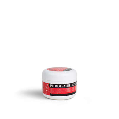 Magister Doskar Pferdesalbe 100ml, A-Nr.: 3128574 - 01