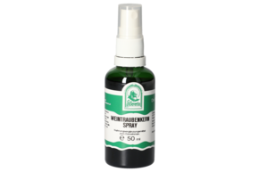 Sie sehen eine Packung WEINTRAUBENKERN SPRAY 50 ML, Produktbild: 01 WEINTRAUBENKERN SPRAY 50 ML, A-Nr.: 5832567 - 01