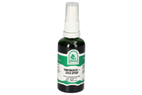 Sie sehen eine Packung YAMSWURZEL + DHEA SPRAY 50 ML, Produktbild: 01 YAMSWURZEL + DHEA SPRAY 50 ML, A-Nr.: 5903043 - 01