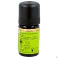 Sie sehen eine Packung Aetherische Oele Primavera Cajeput Bio 5ml, Produktbild: 03 Aetherische Oele Primavera Cajeput Bio 5ml, A-Nr.: 5907093 - 03
