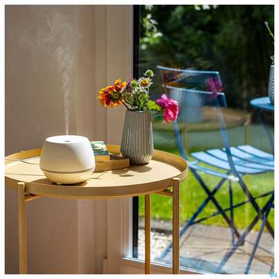 Taoasis Taowell Ambiente 1st, A-Nr.: 5682122 - 04