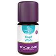 Sie sehen eine Packung Taoasis Kopfwohl Bio Duftkomposition 5ml, Produktbild: 02 Taoasis Kopfwohl Bio Duftkomposition 5ml, A-Nr.: 5908520 - 02