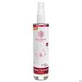 Taoasis Baldini Raumspray Happy Christmas 50ml, A-Nr.: 5374455 - 04